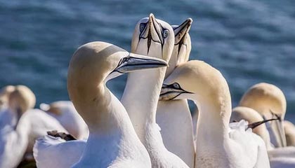 很多人不知道:一个被撤回的表情背后的人际边界,比你想的更残酷